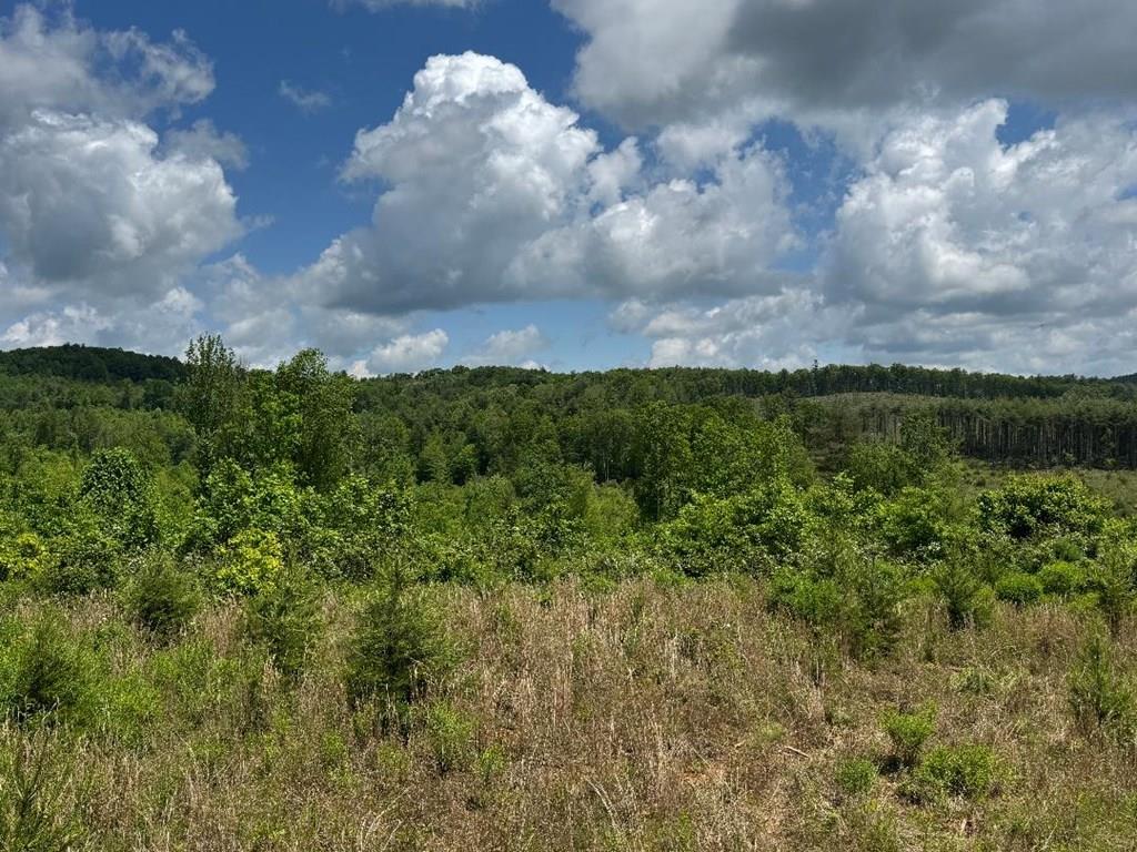 Tbd Marian Rd. Property Photo