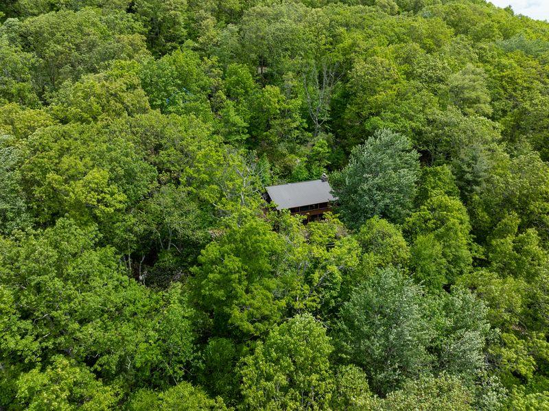 111 Fox Trot Ln Property Photo 1
