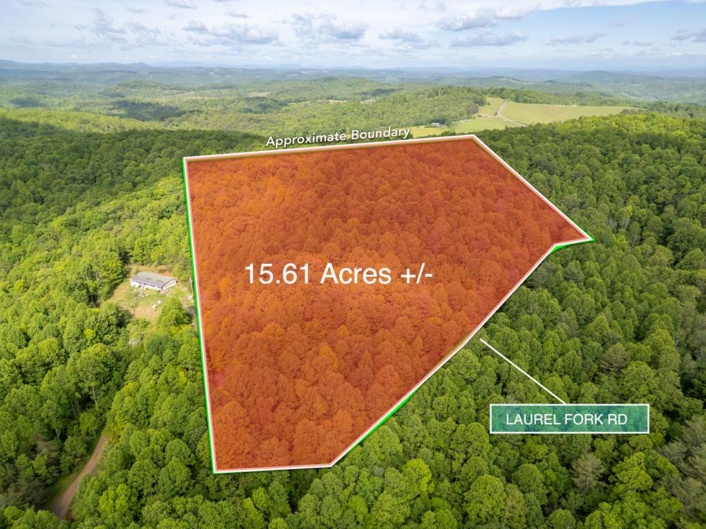 Tbd Laurel Fork Rd Property Photo 1