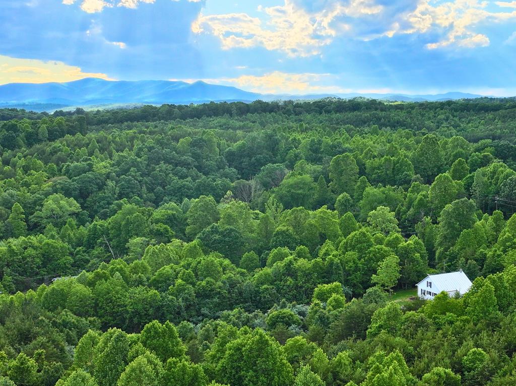 843 Wilson Mill Rd