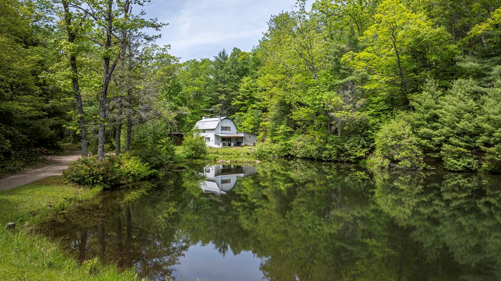 Tbd Blue Springs Rd. Property Photo 1