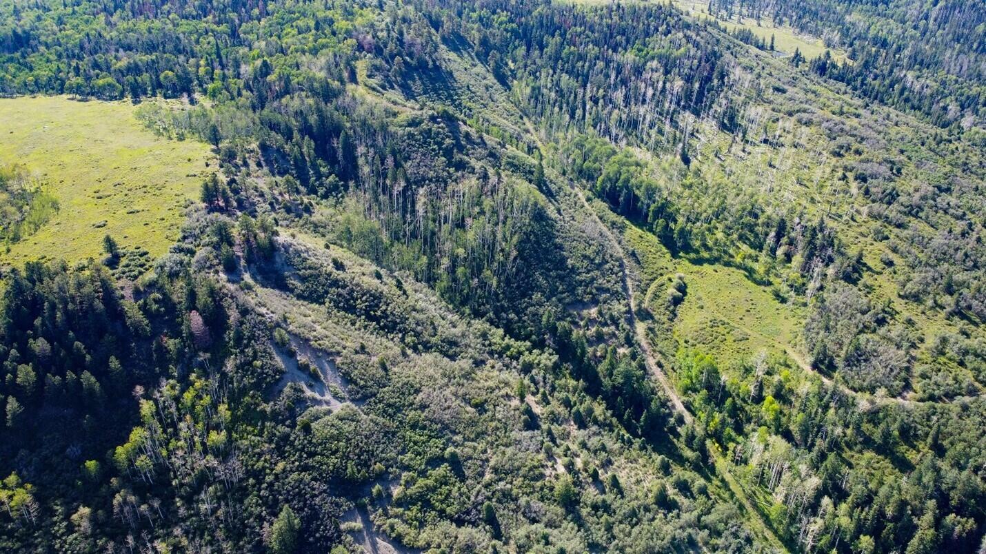 9757 Co Rd 5 Property Photo 11