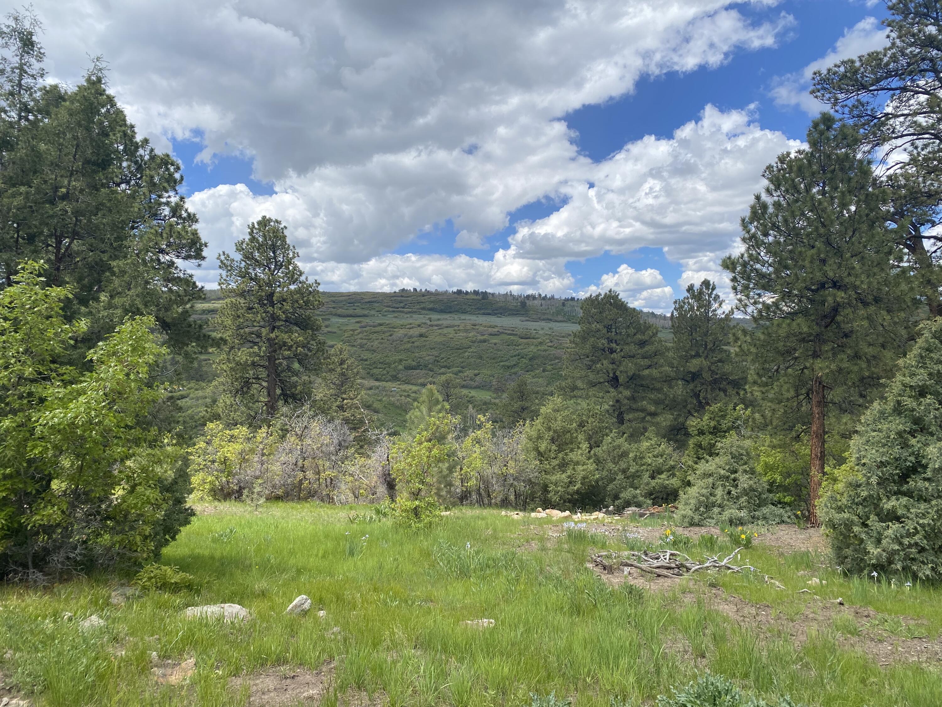 Tbd Green Meadows Lane Property Photo 2