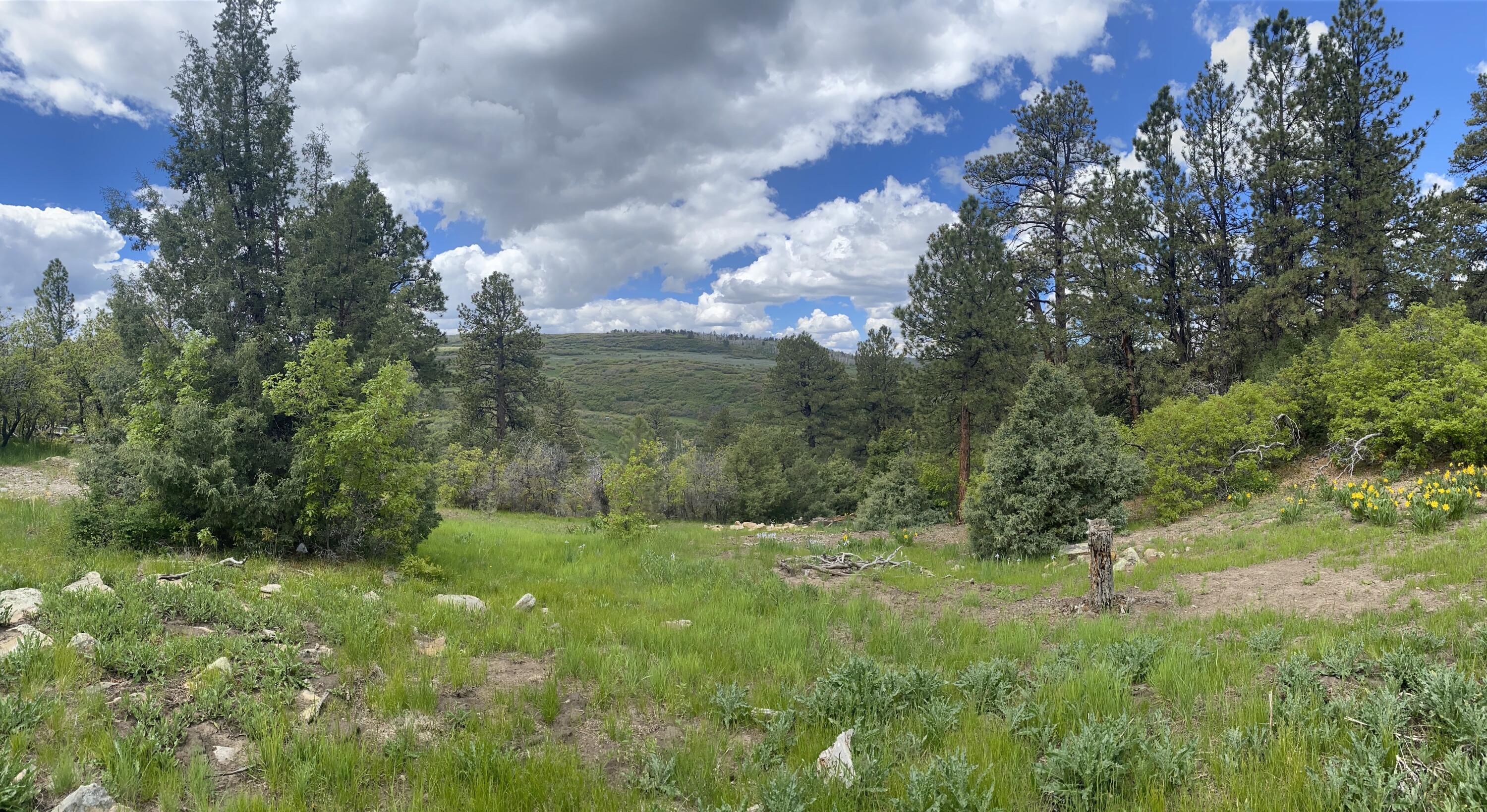 Tbd Green Meadows Lane Property Photo 3
