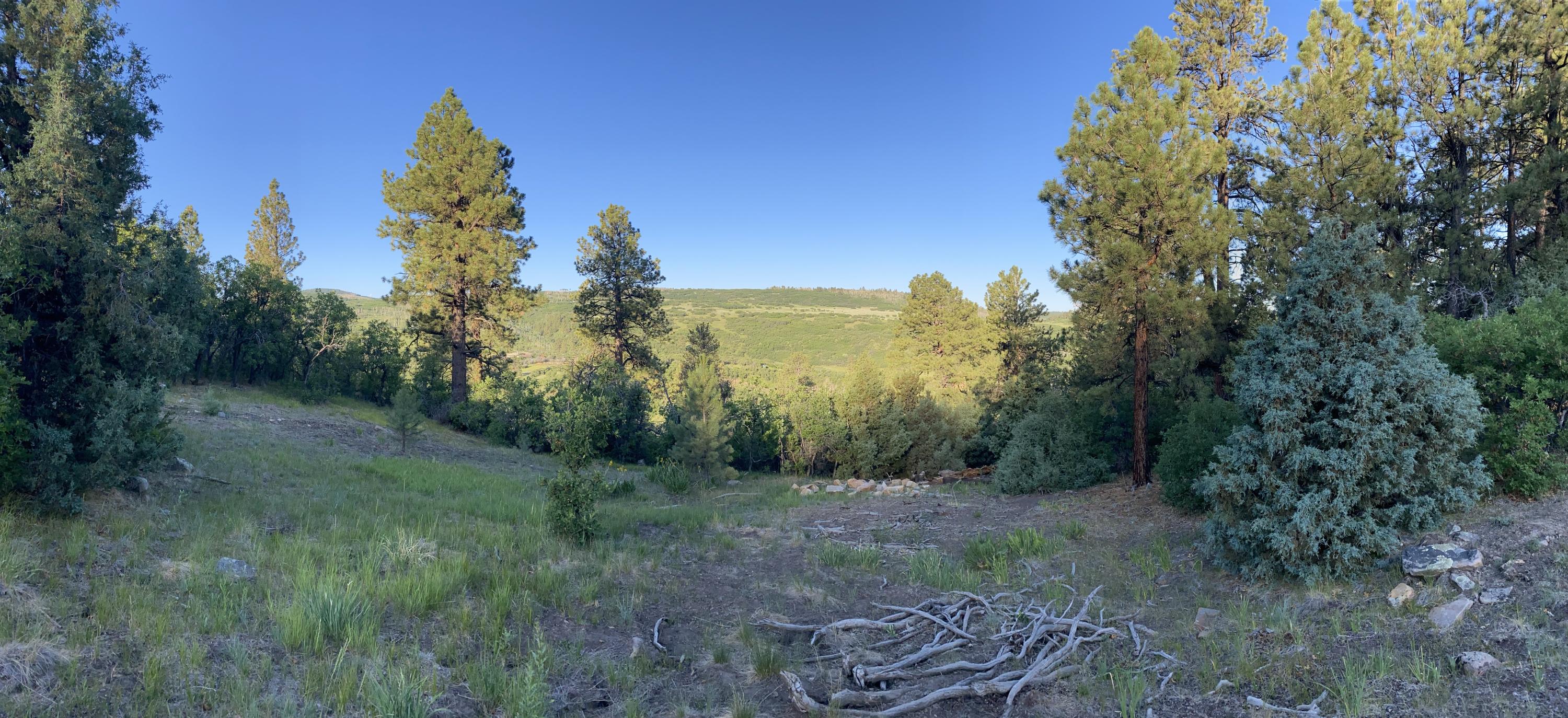 Tbd Green Meadows Lane Property Photo 4