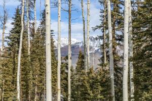 15 High Noon Lane Property Photo 28