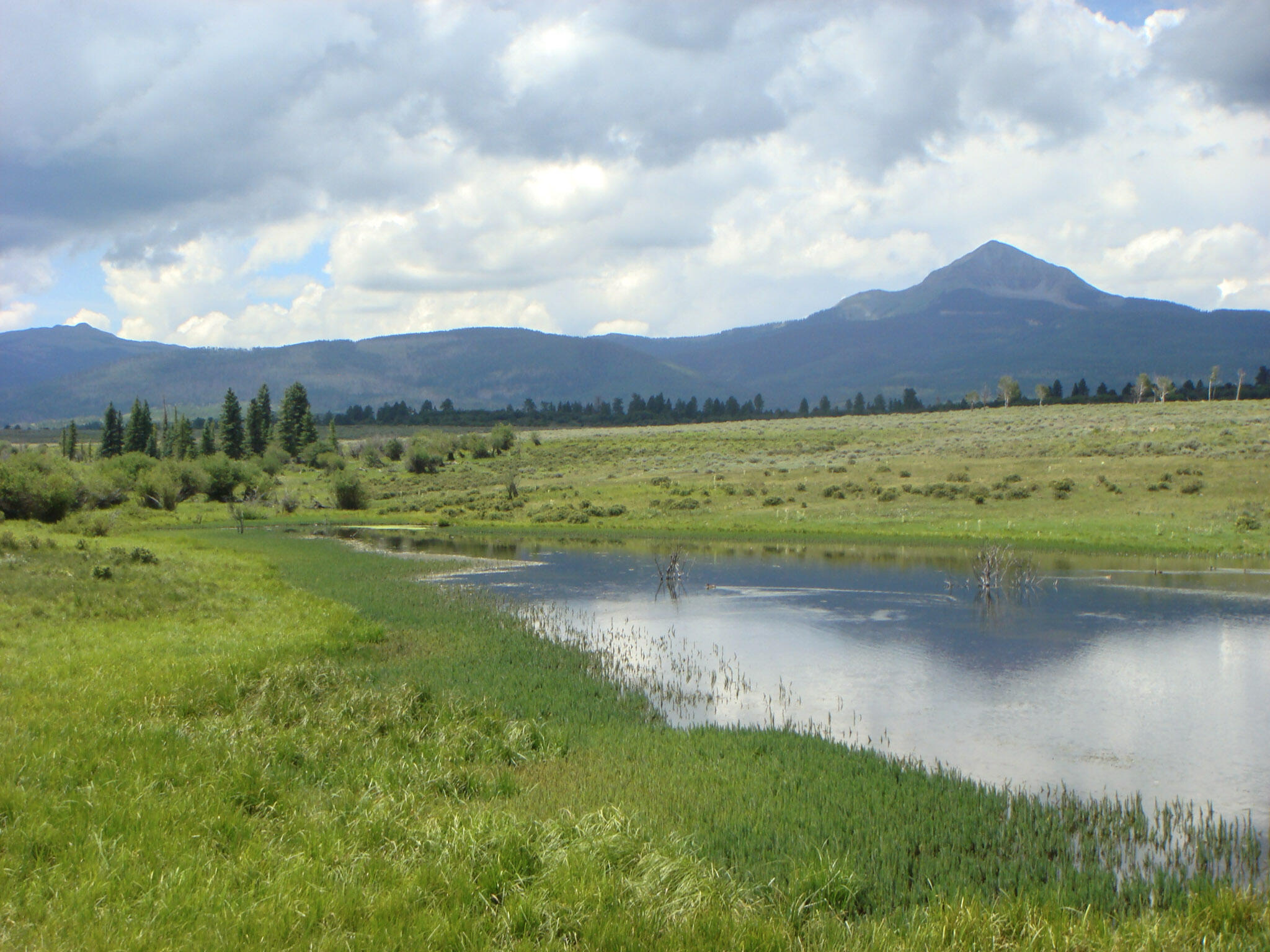 tbd County Road 48L Property Photo 1