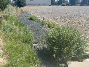 570 Cobble Drive Property Photo 2