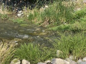 570 Cobble Drive Property Photo 7