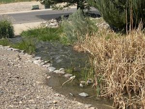 570 Cobble Drive Property Photo 10