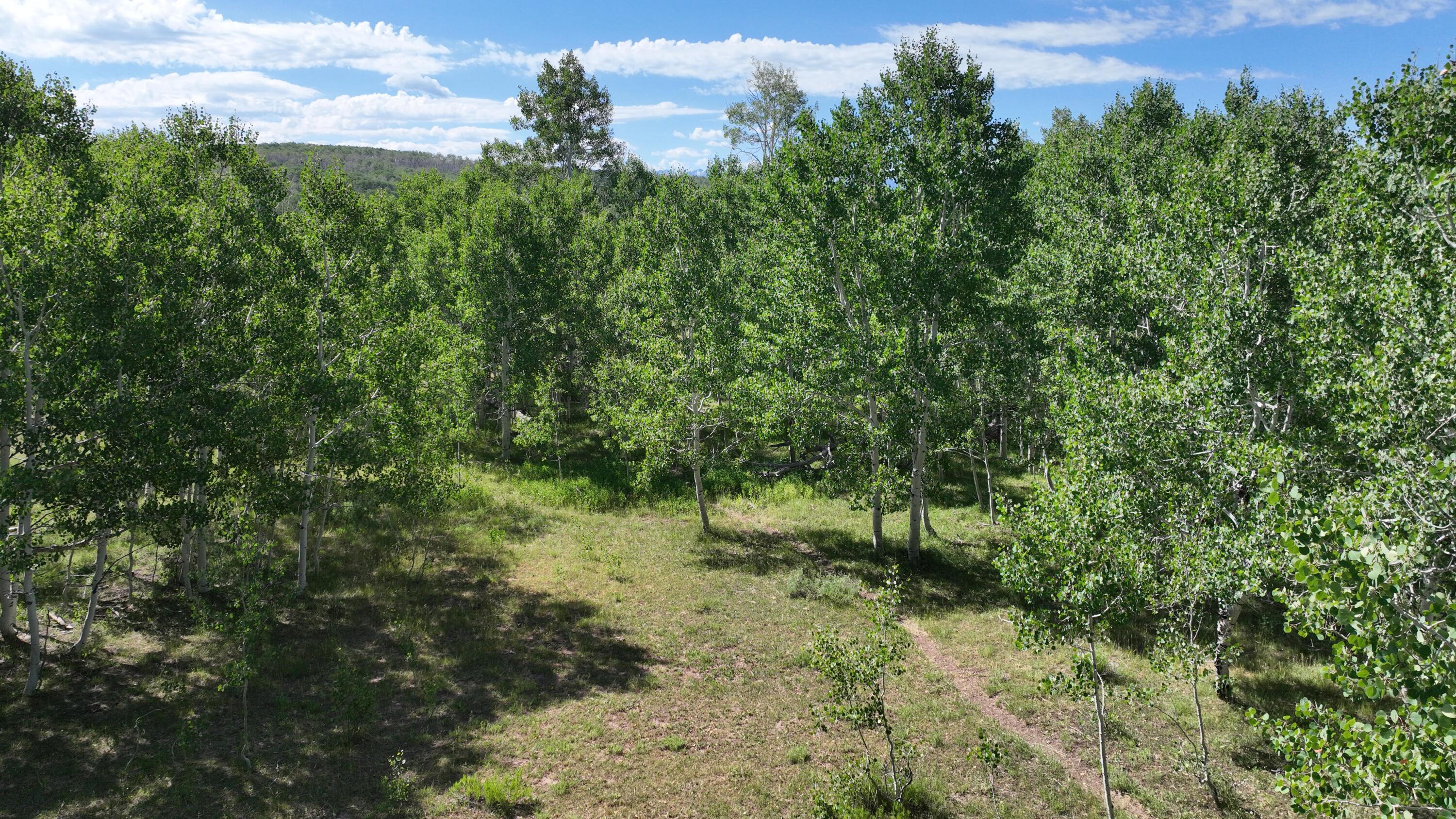 Lot 33 Elk Dr/ Divide Rd. Property Photo