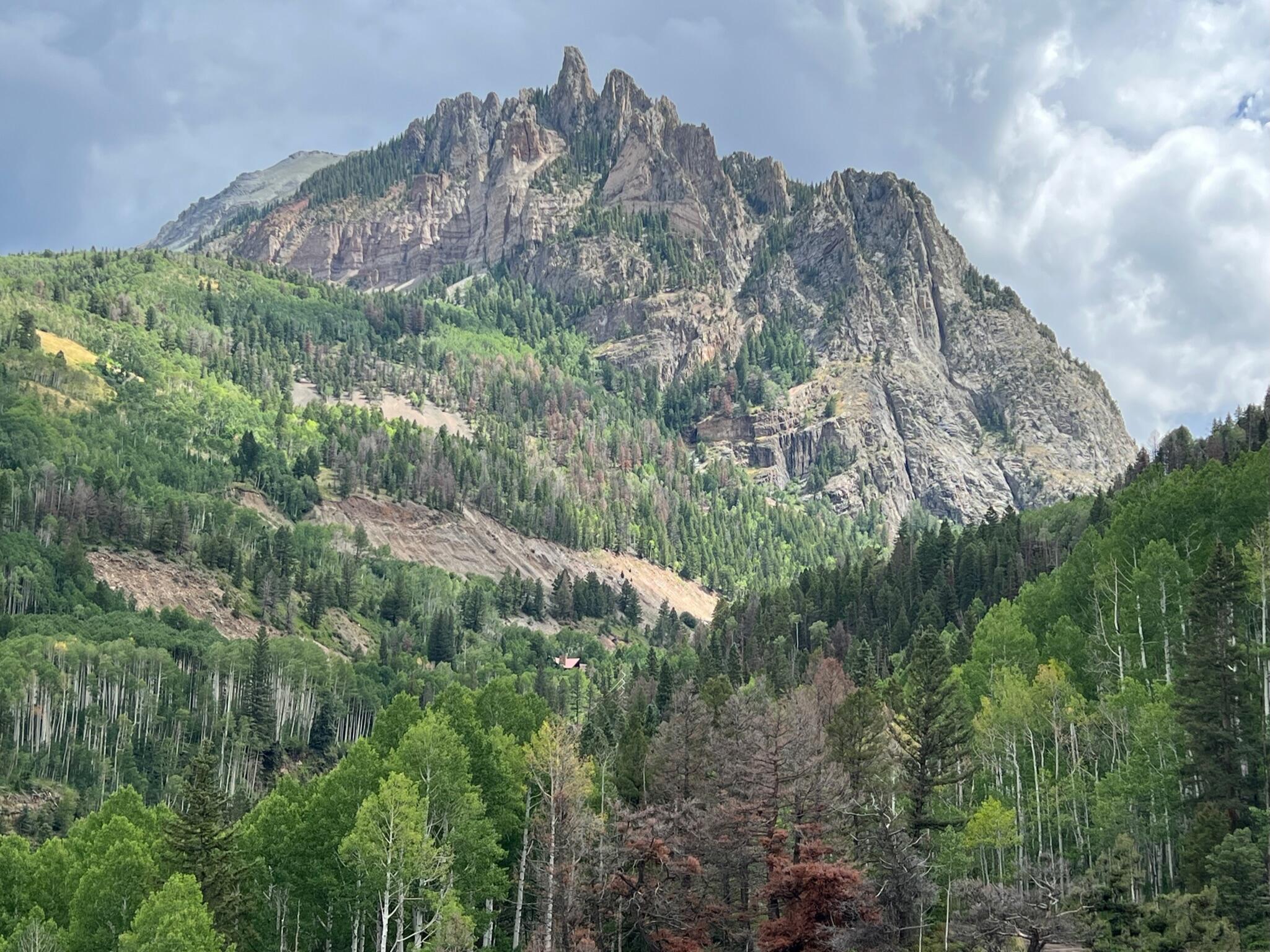90 Lake Fork Junction Road Property Photo 5
