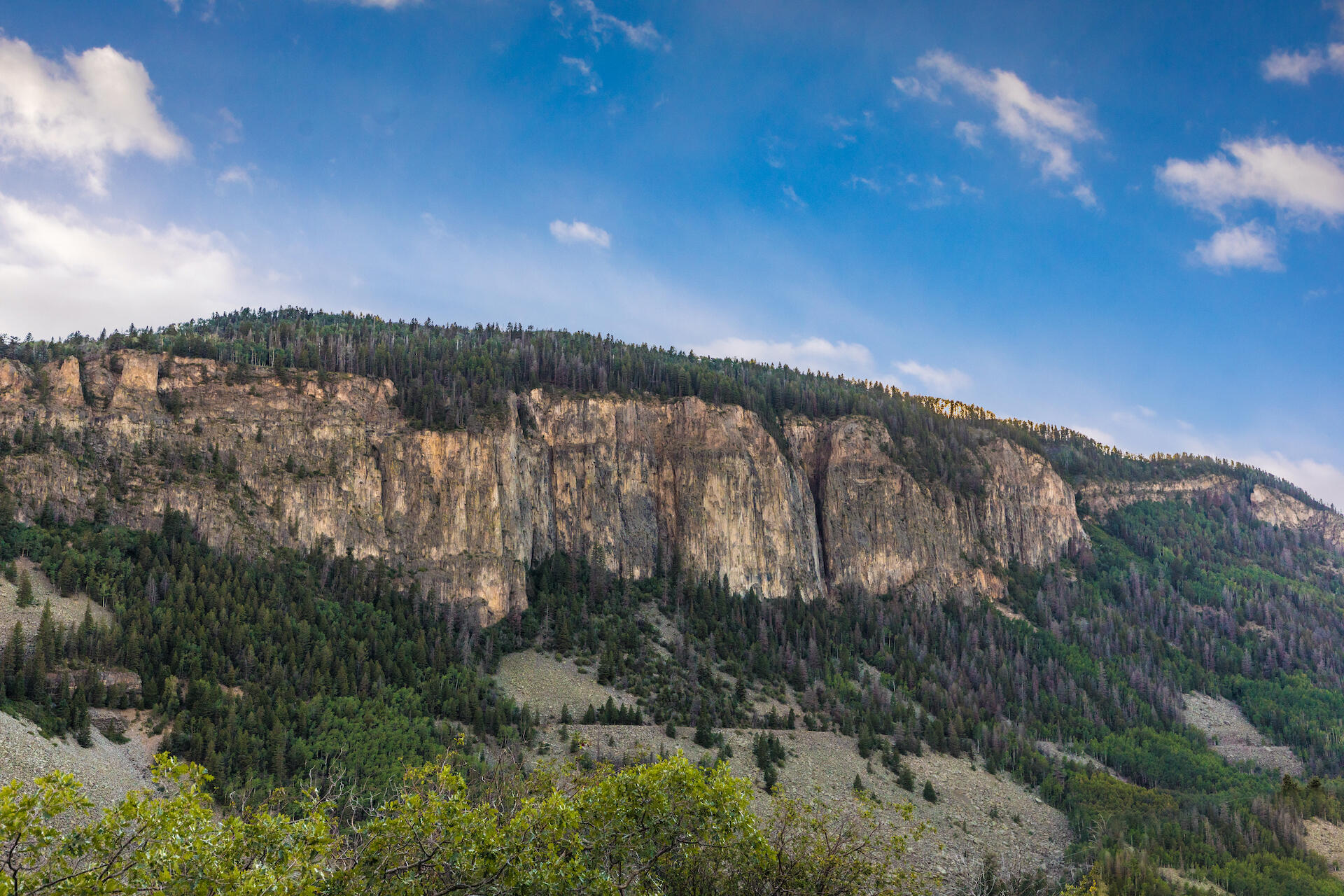 90 Lake Fork Junction Road Property Photo 8