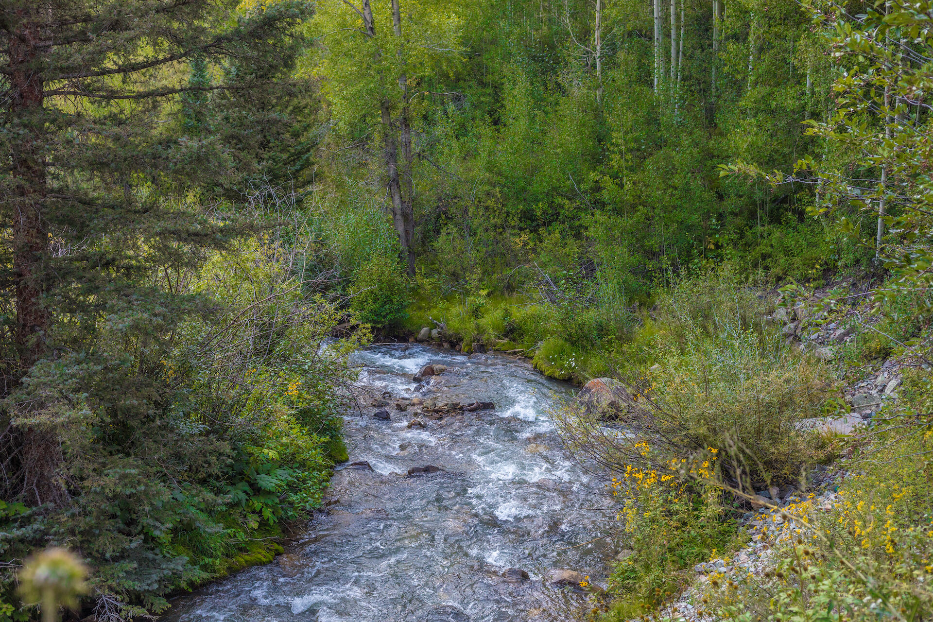 90 Lake Fork Junction Road Property Photo 9