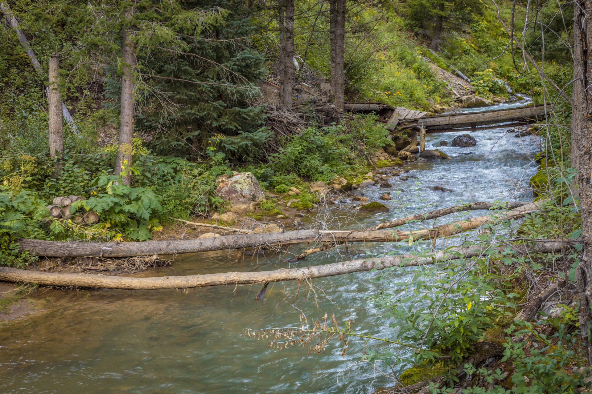 90 Lake Fork Junction Road Property Photo 16