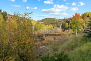 302 Adams Ranch Road #5 Property Photo 16
