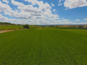 58250 Jig Road Property Photo