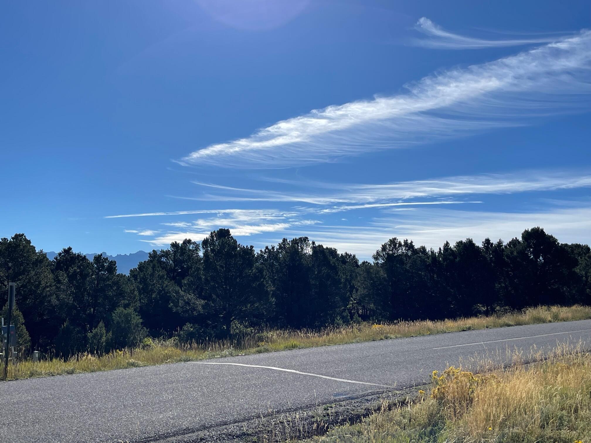 Tbd Ponderosa Drive Property Photo 2