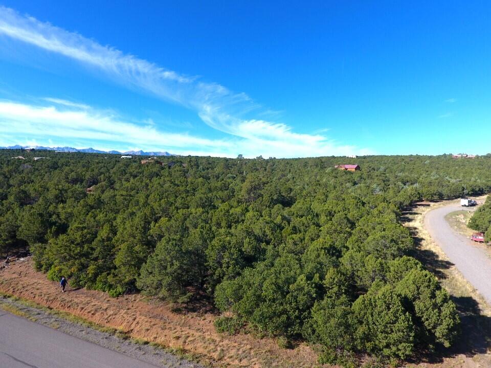 Tbd Ponderosa Drive Property Photo 3