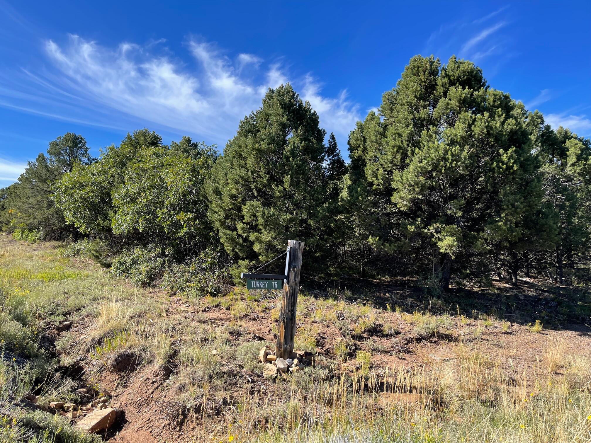 Tbd Ponderosa Drive Property Photo 4