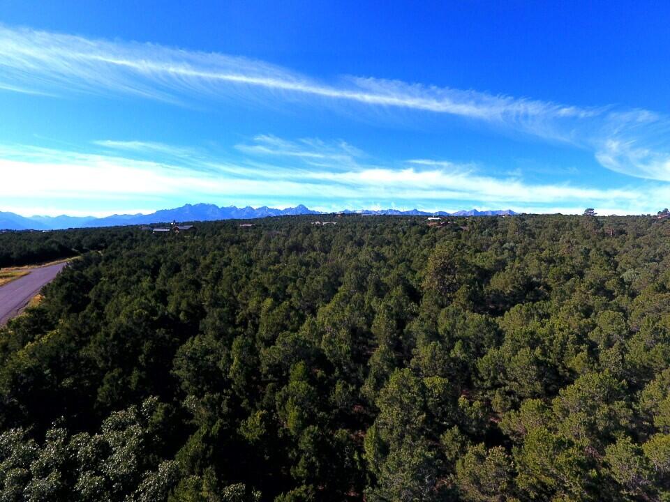 Tbd Ponderosa Drive Property Photo 6