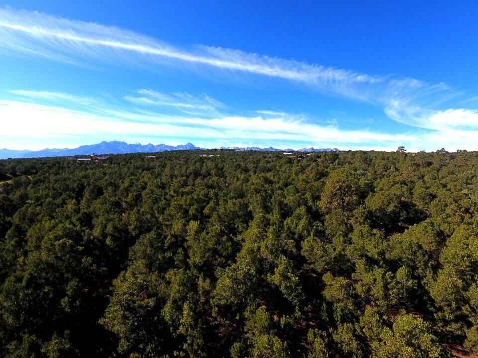 Tbd Ponderosa Drive Property Photo 7