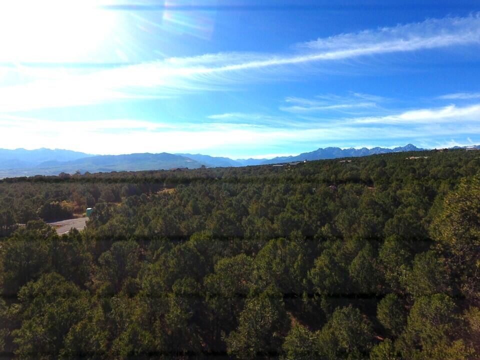 Tbd Ponderosa Drive Property Photo 9