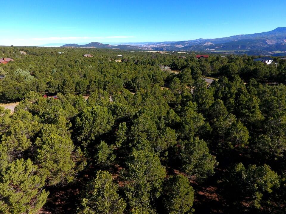 Tbd Ponderosa Drive Property Photo 10