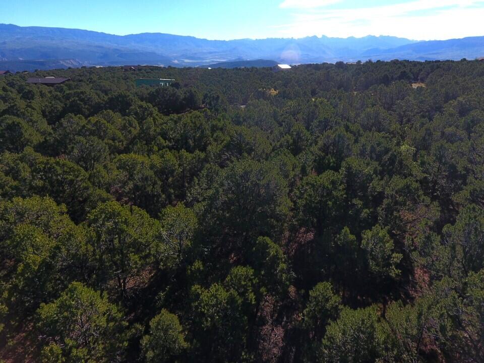 Tbd Ponderosa Drive Property Photo 11