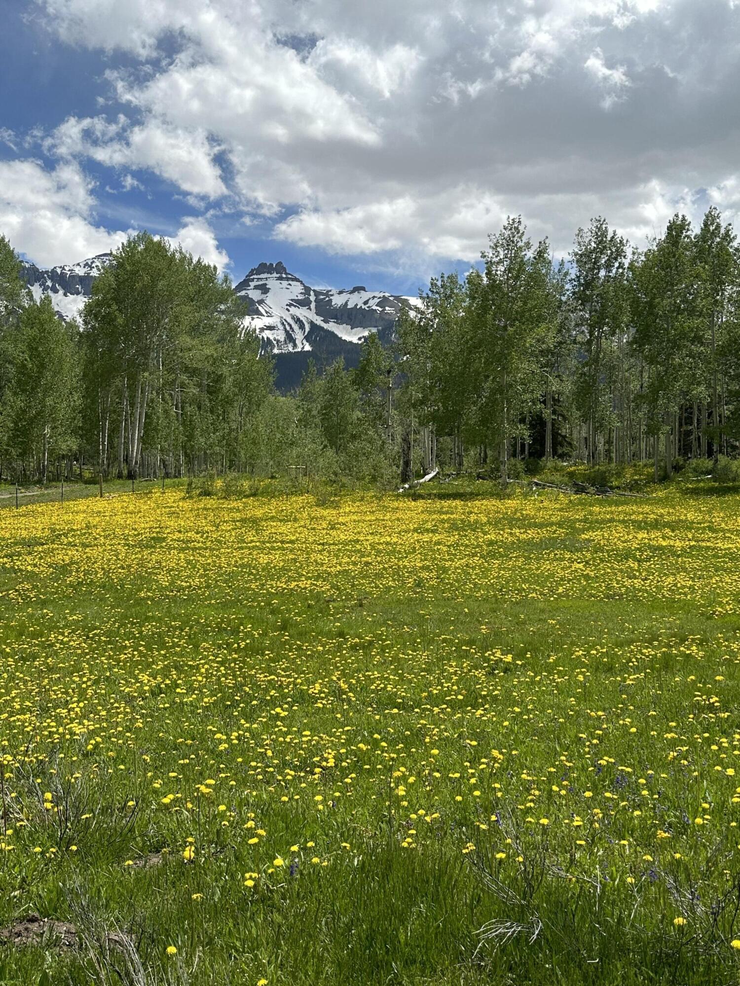 Tbd County Road 5 Property Photo 4