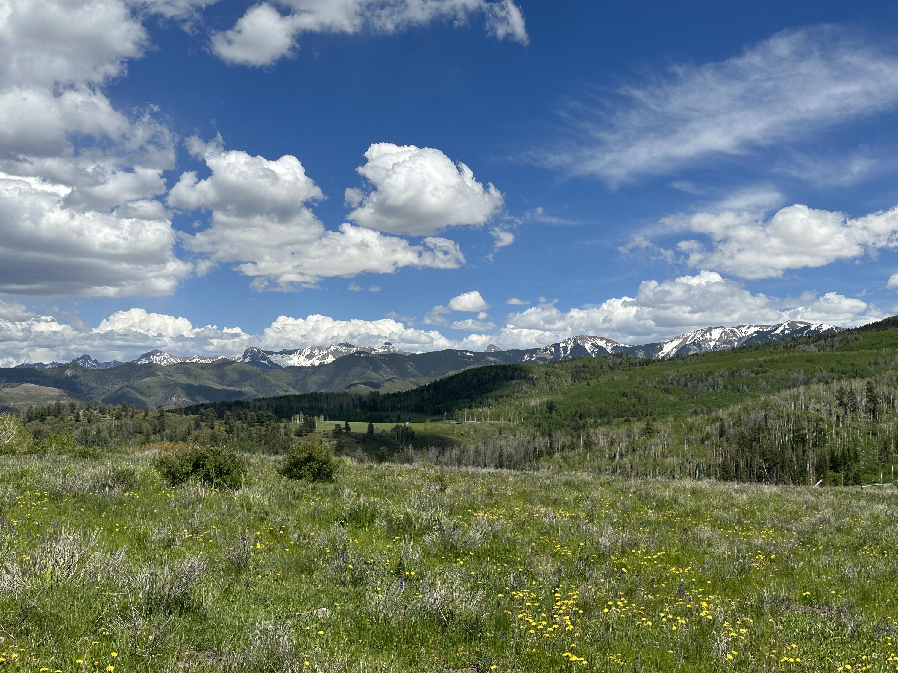 Tbd County Road 5 Property Photo 5