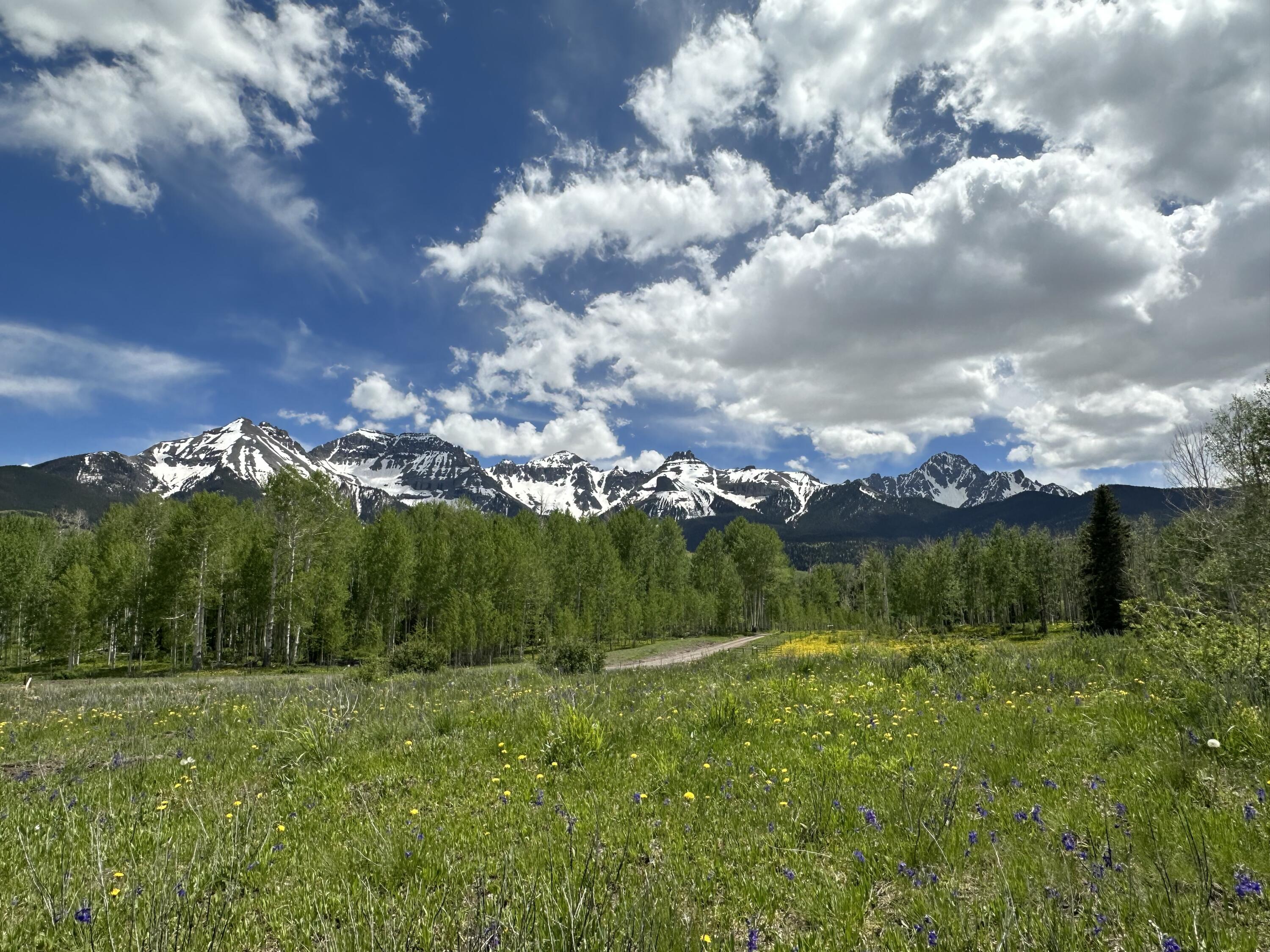 Tbd County Road 5 Property Photo 6