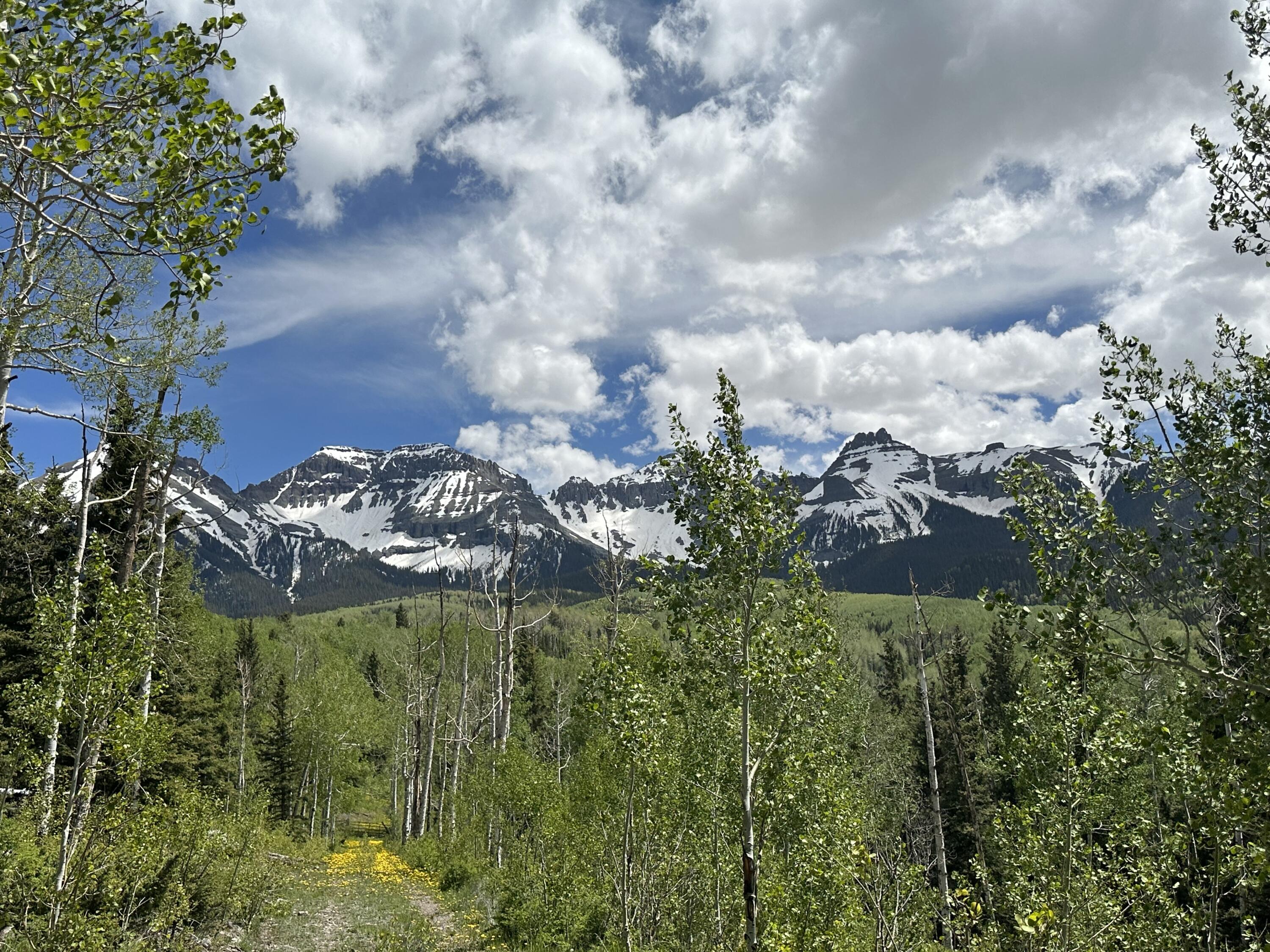 Tbd County Road 5 Property Photo 10