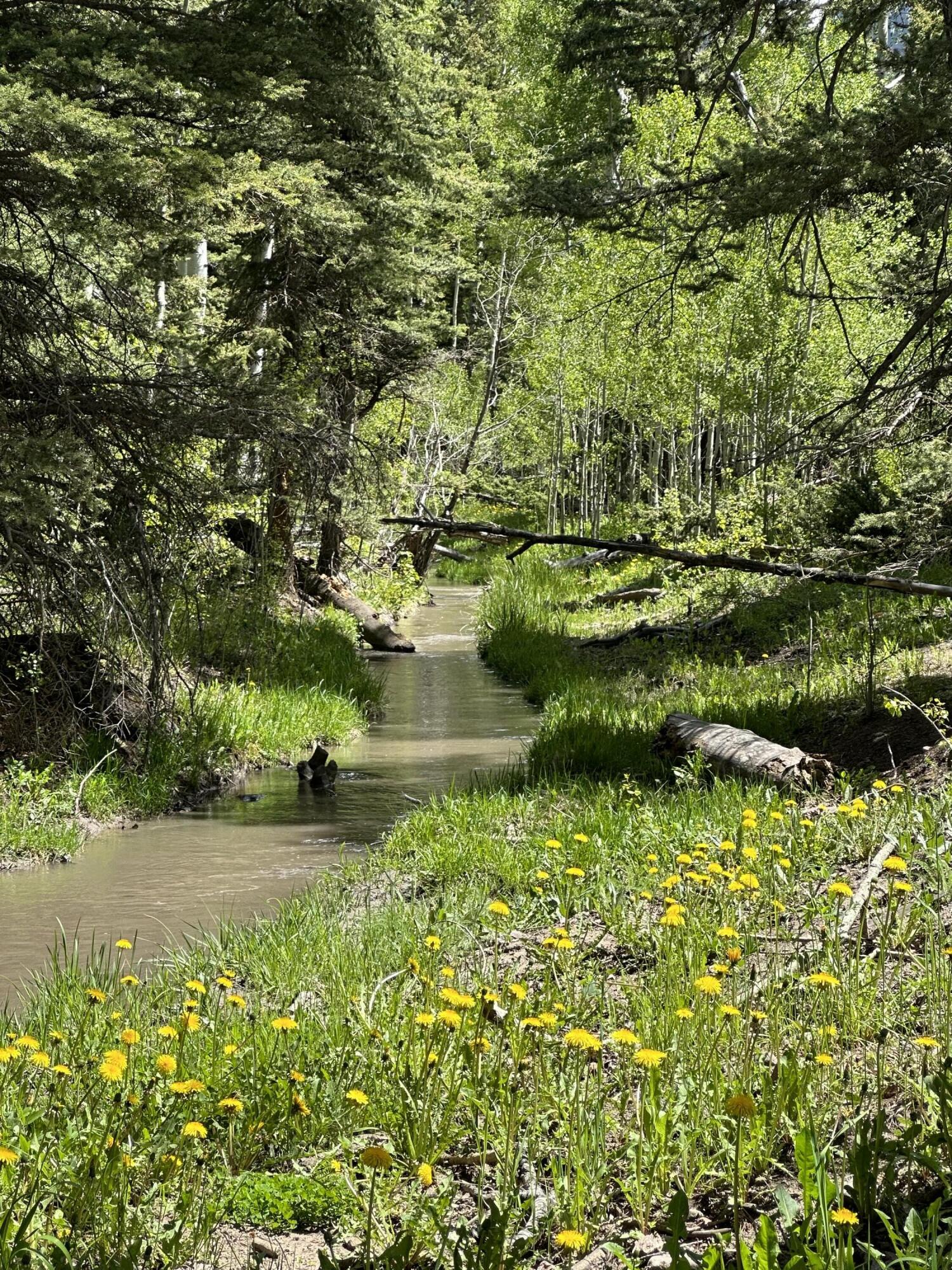 Tbd County Road 5 Property Photo 11