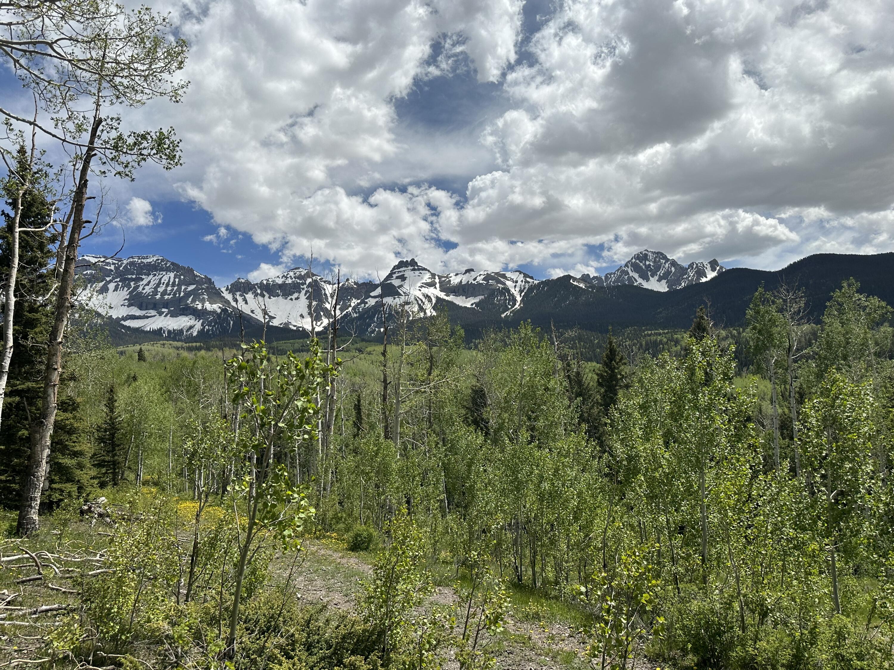 Tbd County Road 5 Property Photo 15
