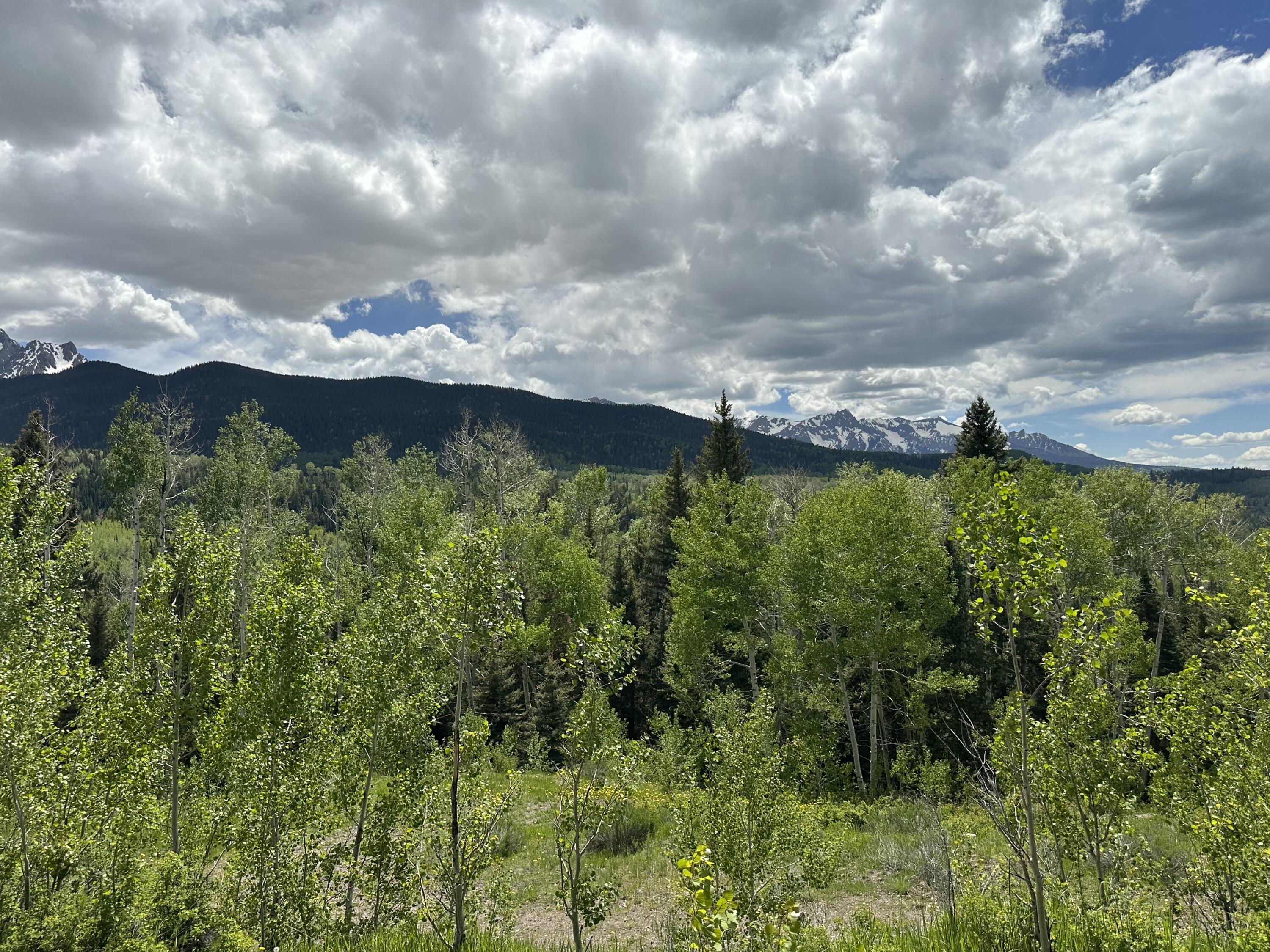 Tbd County Road 5 Property Photo 16