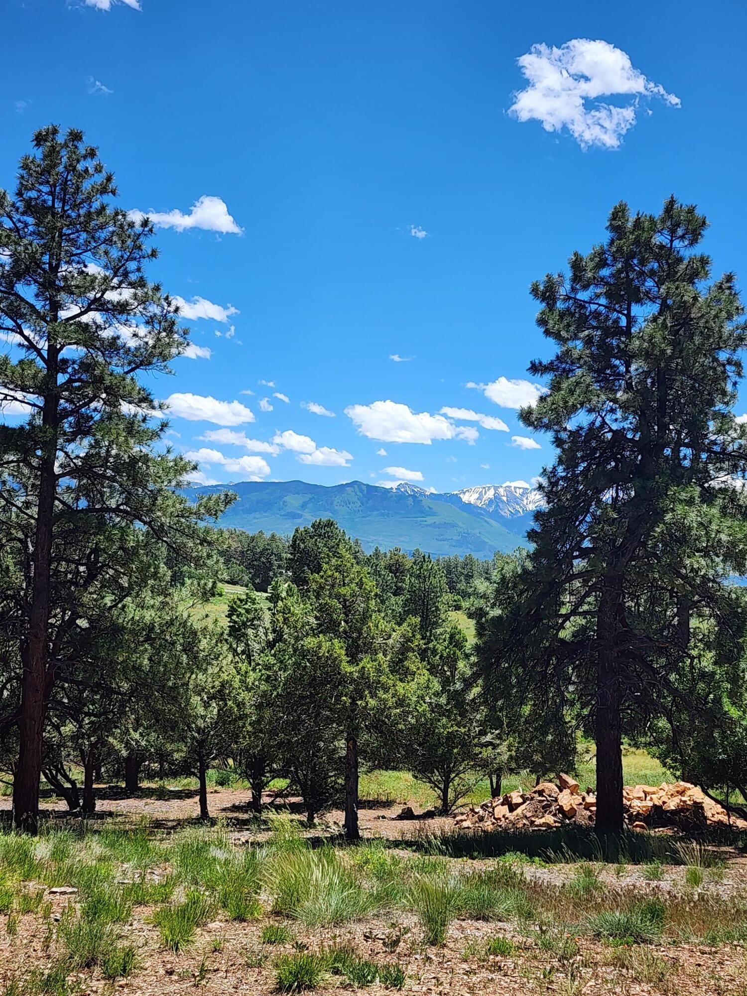 Tbd Marmot Drive Property Photo 4