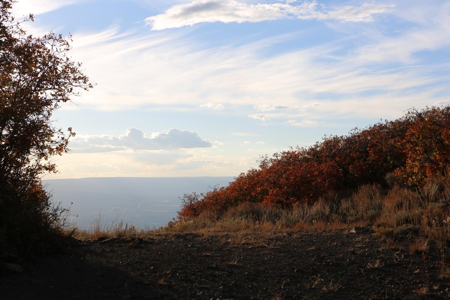 Tbd Buckhorn Road Property Photo 5