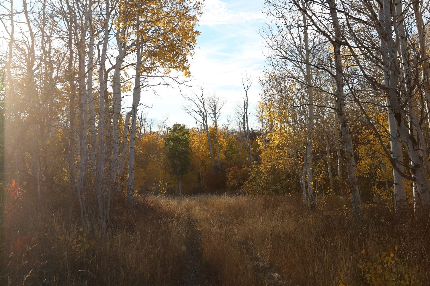 Tbd Buckhorn Road Property Photo 6