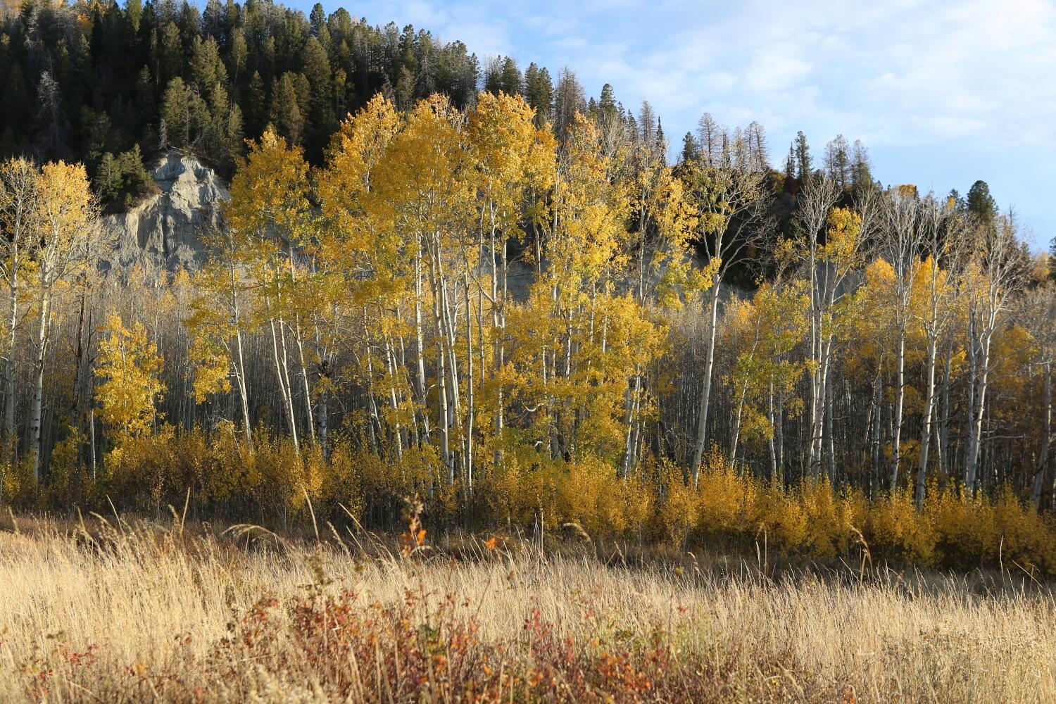 Tbd Buckhorn Road Property Photo 9