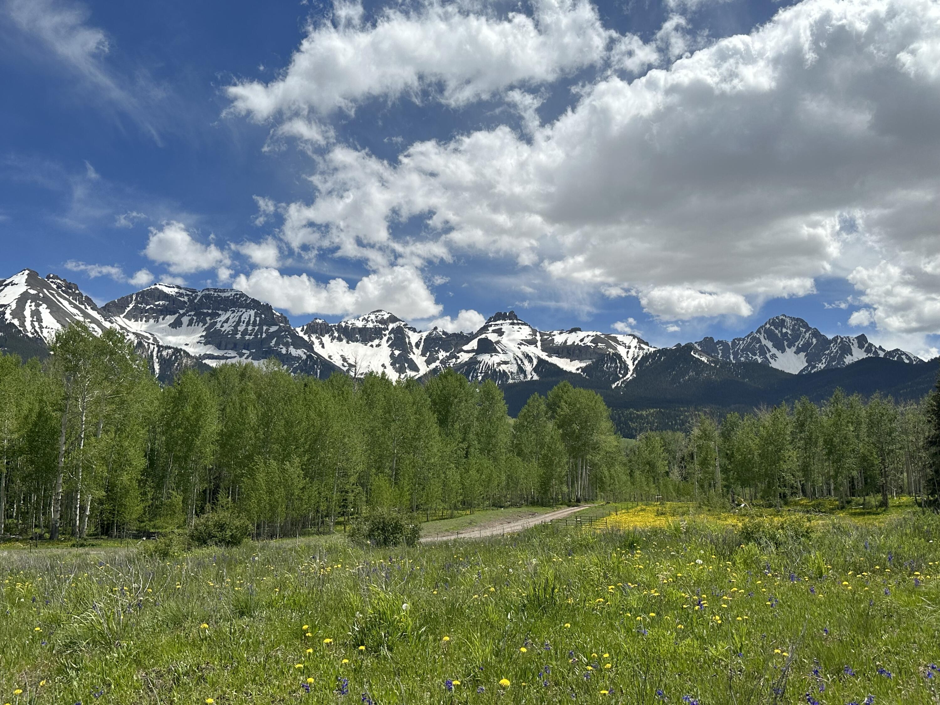 Tbd County Road 5 Property Photo 1