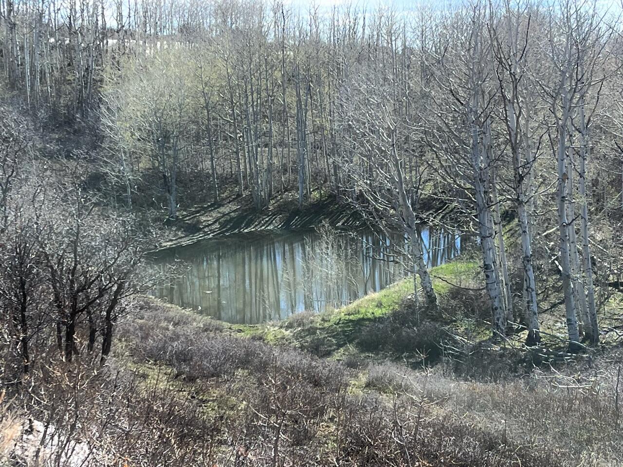75160 Q72 Rd Road Property Photo 16