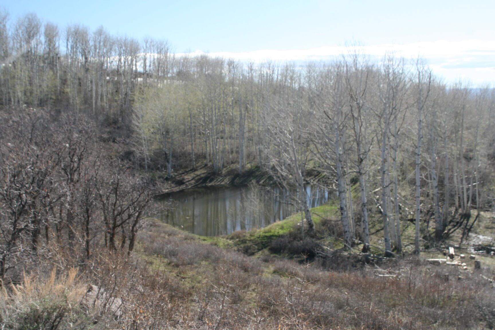 75160 Q72 Rd Road Property Photo 26