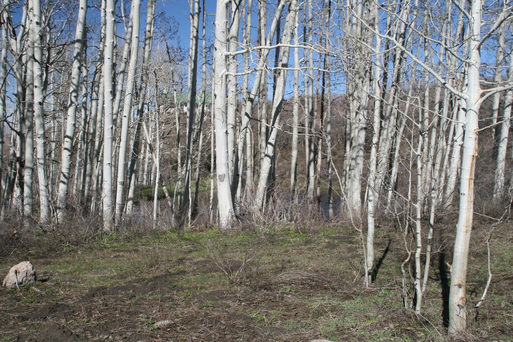 75160 Q72 Rd Road Property Photo 32