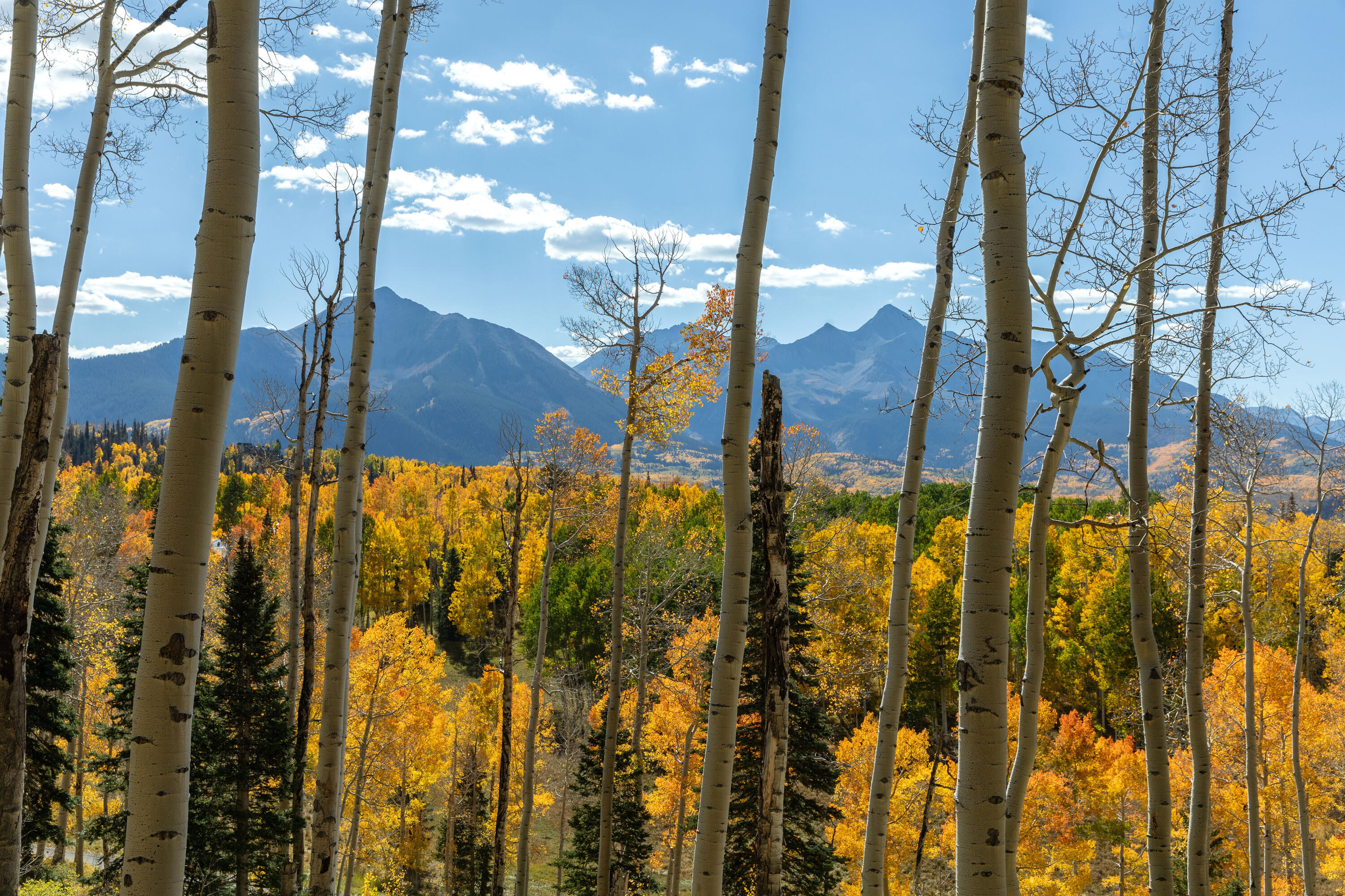Tbd Elk Run Property Photo 5