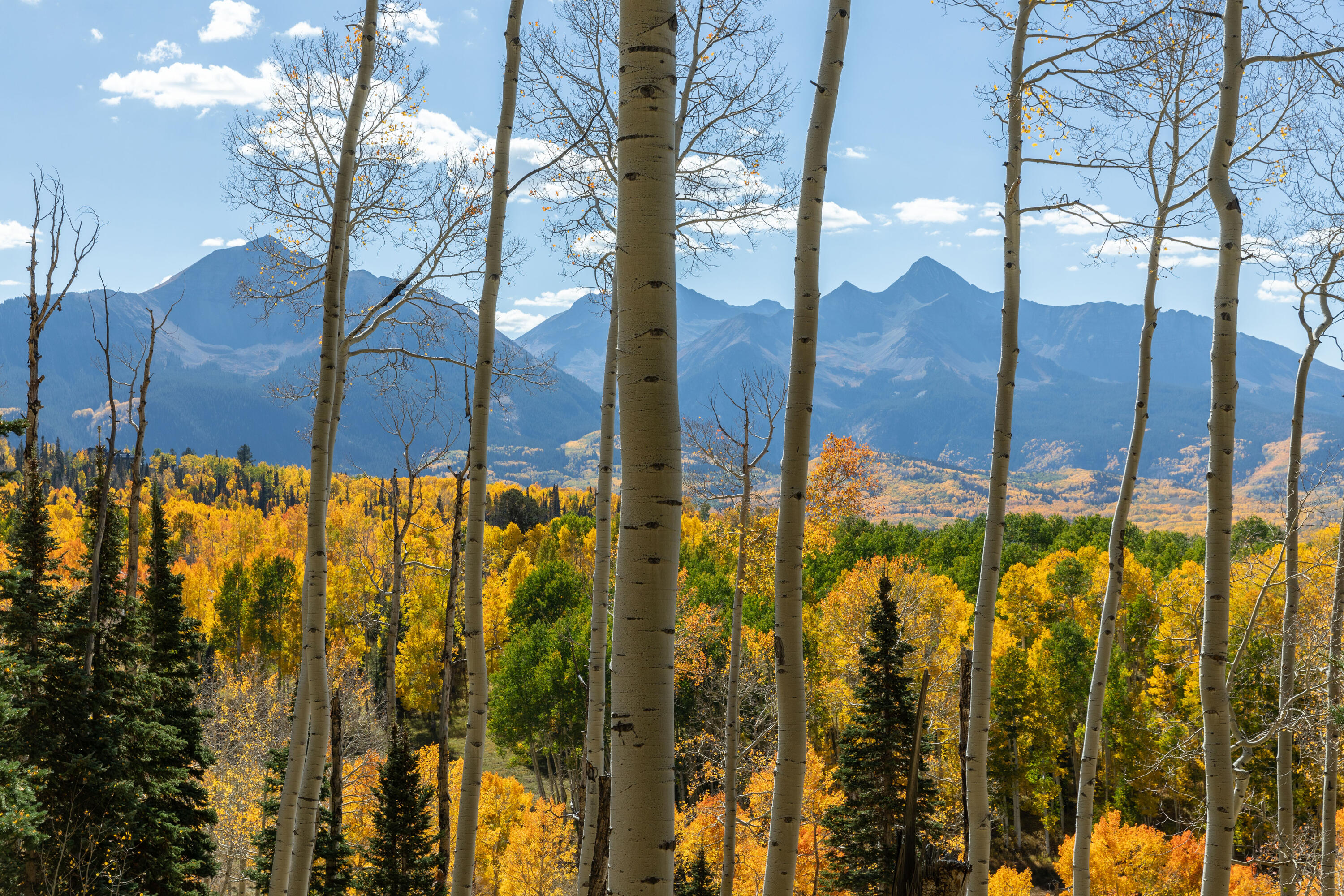 Tbd Elk Run Property Photo 6