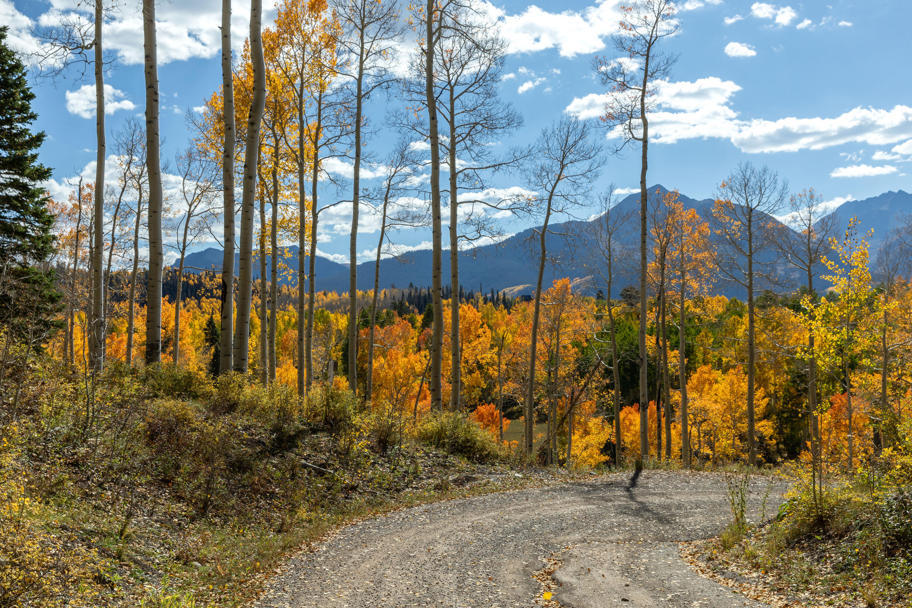 Tbd Elk Run Property Photo 7