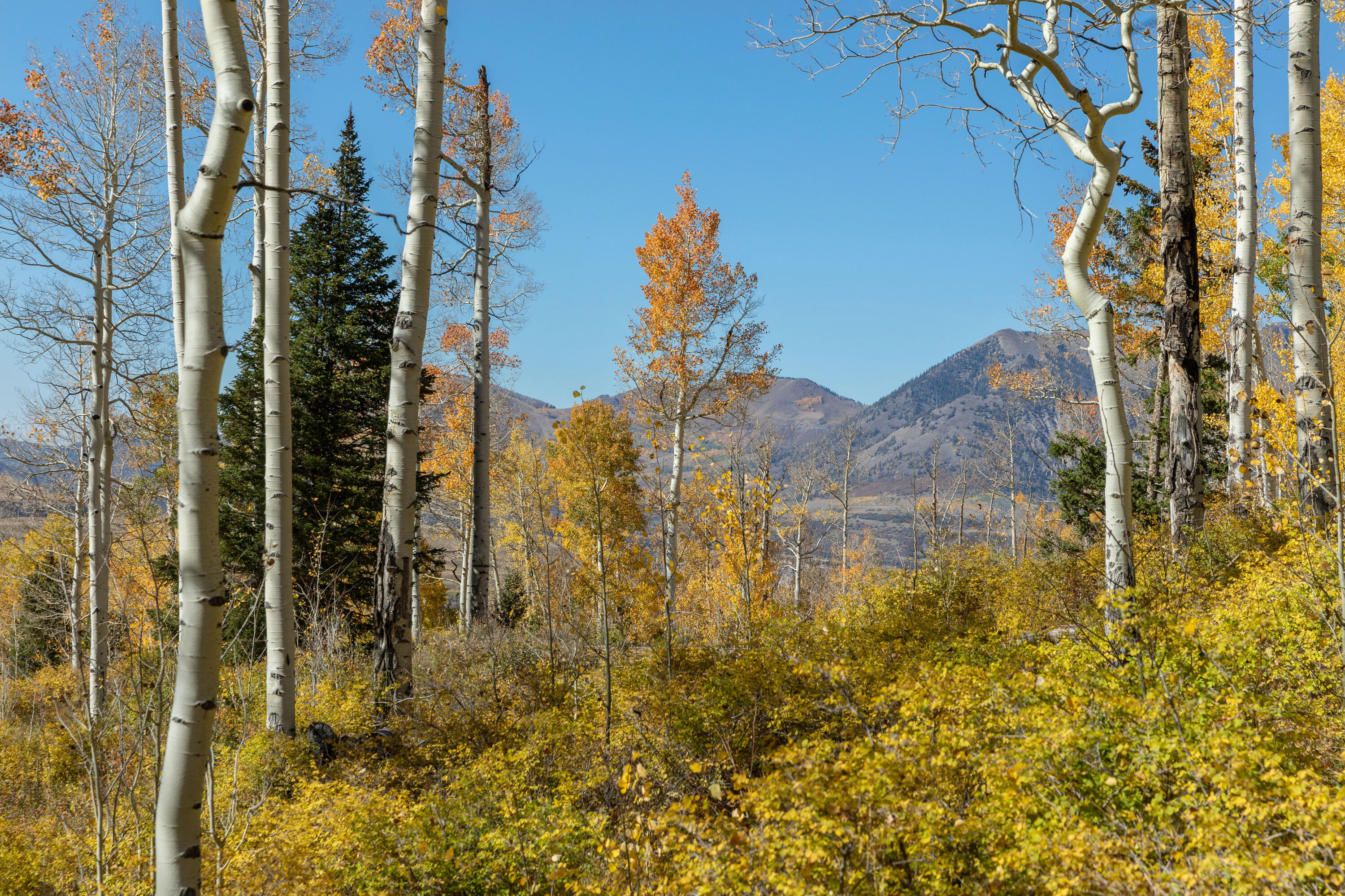 Tbd Elk Run Property Photo 8