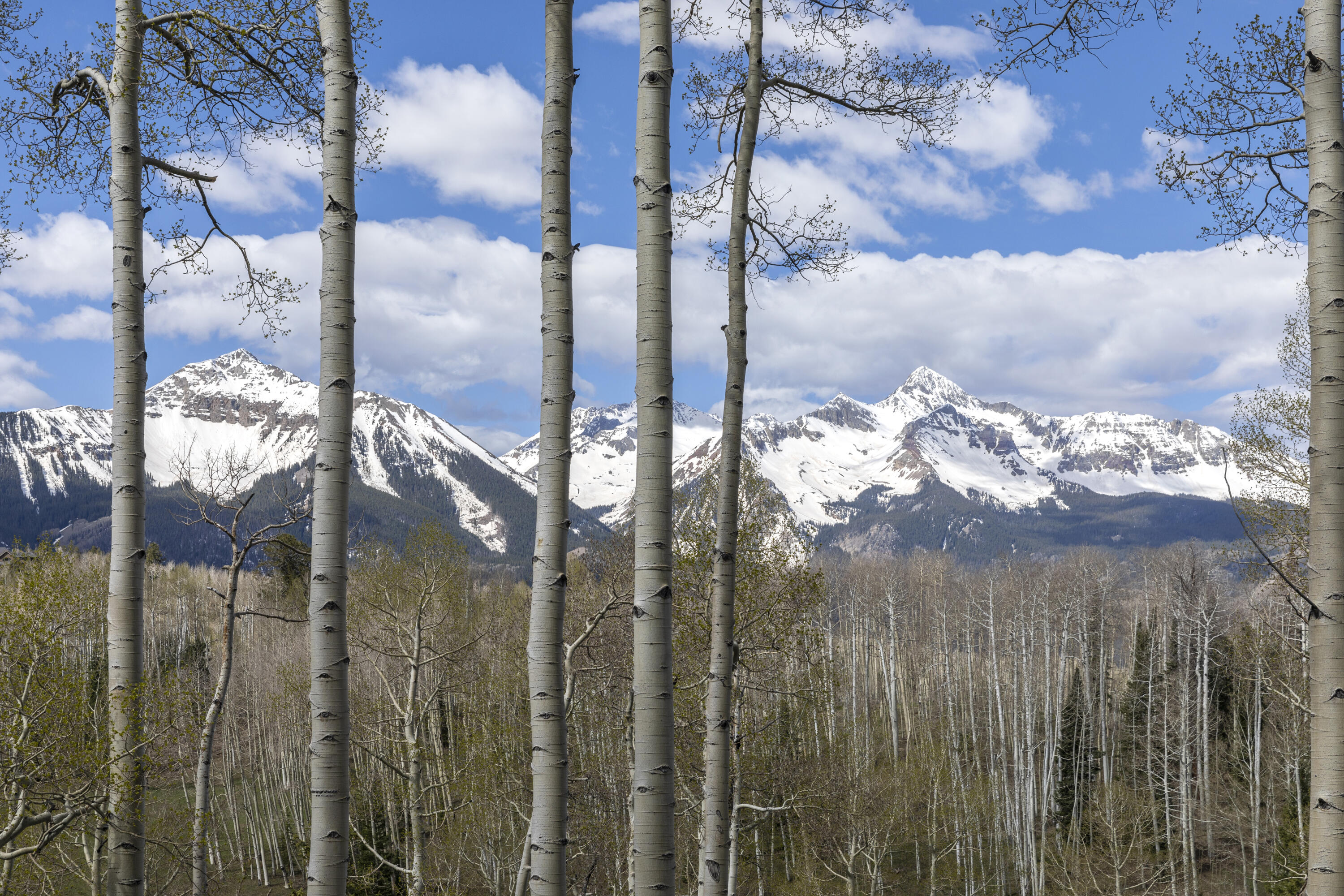 Tbd Elk Run Property Photo 10