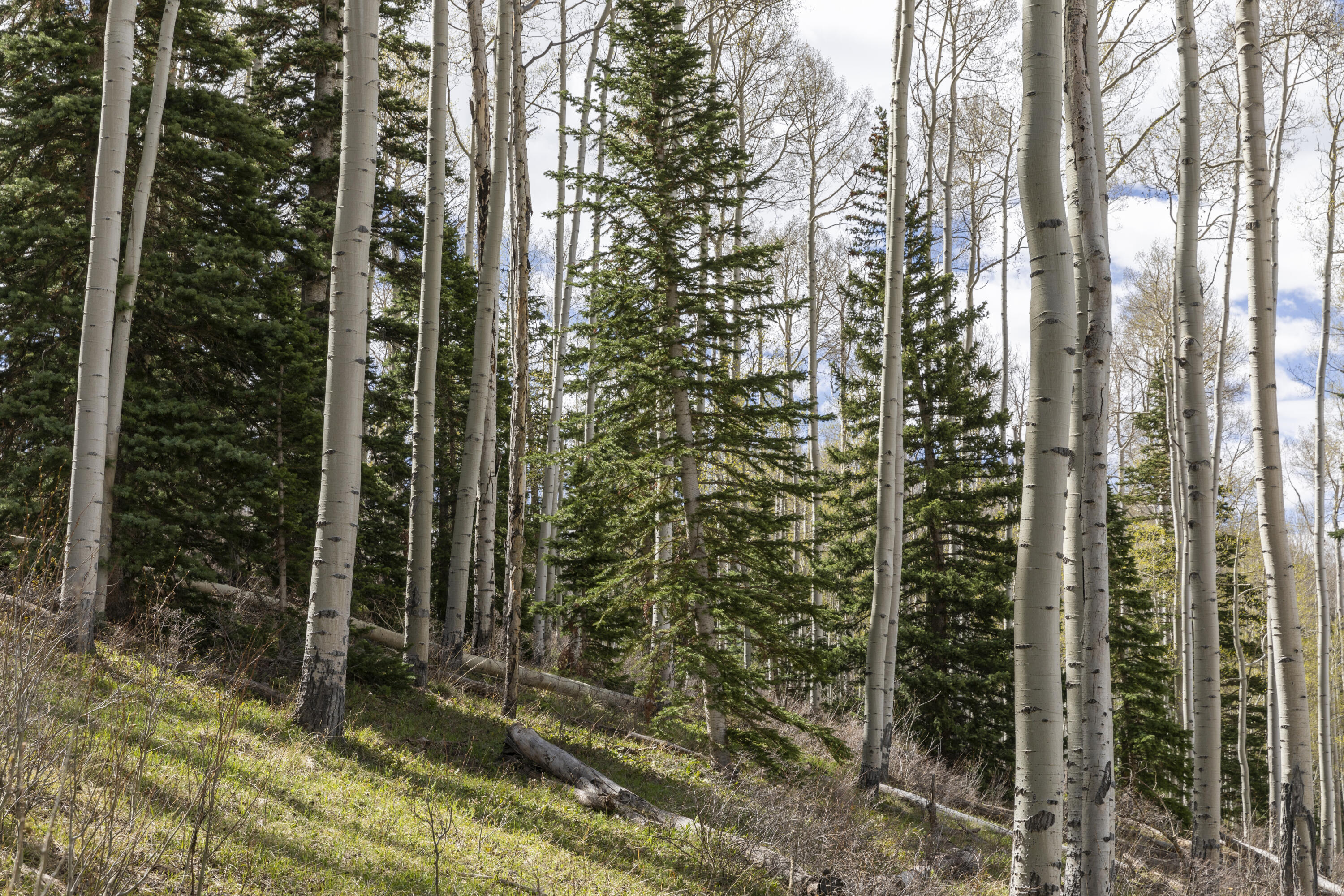 Tbd Elk Run Property Photo 14